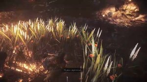 A Plague Tale  Requiem, Пустота, Освободить Арно, Воспоминание "Беспорядок".