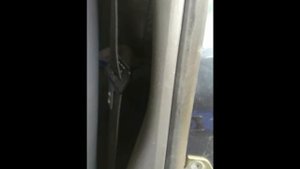 клипса на ремень безопасности