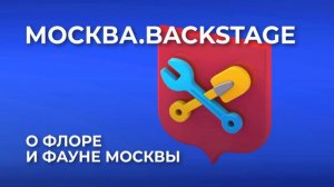 О флоре и фауне Москвы