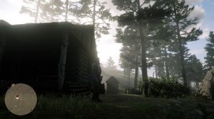Что будет, если собрать все наскальные изображения в Red Dead Redemption 2