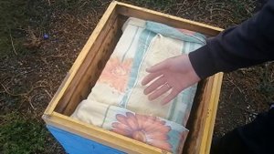 Причина сырости в улье зимой Какой леток в зиму .