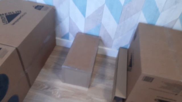 Баиски в лагере Лапки смотреть онлайн