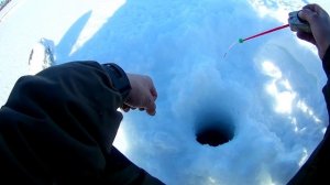 Рыбалка в Томской области, поиск крупного окуня в глухозимье.