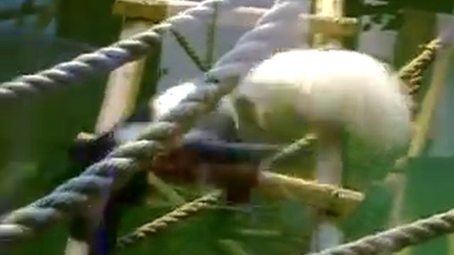 MOV00366.AVI 27.09.2012 Ижевск зоопарк смотреть онлайн