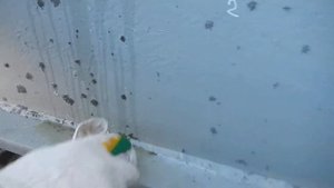 очищаем сэндвич-панель от цементного раствора и бетона
