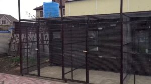 Моя новая голубятня 2020 достроил вольер настоящие бакинские голуби