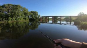 Жерех, голавль летом на спиннинг. Russian fishing.