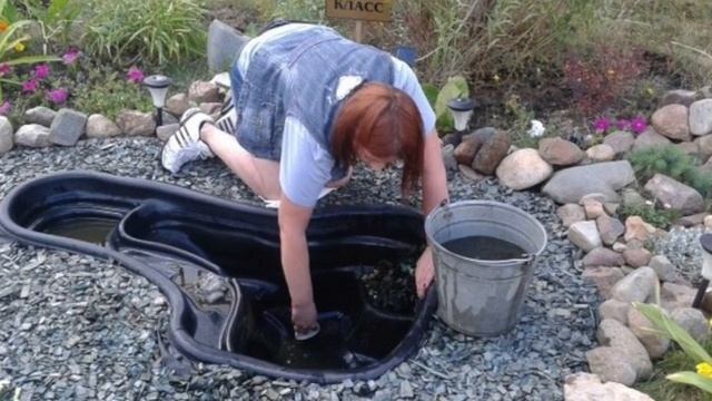 Экологическая экскурсия по школьному двору для дошкольников смотреть онлайн