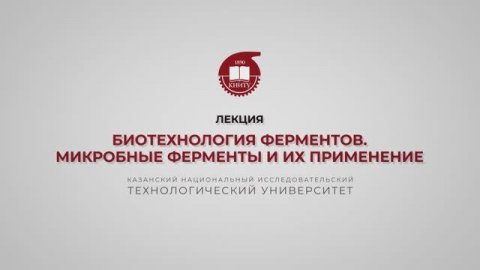 Перушкина Е.В. Биотехнология ферментов. Микробные ферменты и их применение