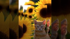 (Speed up) Ooes - Сквозь мои пальцы тянется лето