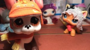 LPS / КАЖДАЯ БАБУШКА ТАКАЯ / Littlest pet shop