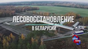 Сушка шишек сосны. Камера сушки с возможностью половинной загрузки. Сушильный агрегат на 1200кг.