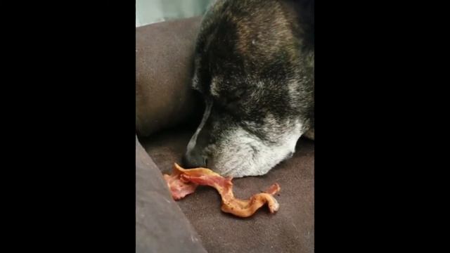 Когда снится хороший сон смотреть онлайн