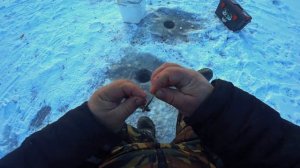 Ловим ротана . Ротан зимняя рыбалка .