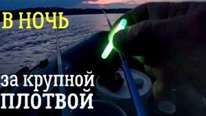 В ночь за крупной ПЛОТВОЙ!