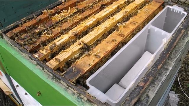 как лучше делать отводки пчел весною - часть 2 - отводок с плодной маткой смотреть онлайн