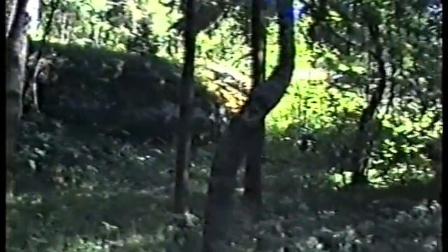 Таруниеми. Дача Винтера, Июль, 1995г. смотреть онлайн