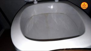 Как почистить унитаз быстро и без усилий(обзор).