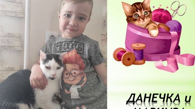 Флешмоб "День обнимания кошек" @catheart  #обнимательныеисторииспб