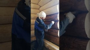 Отделка домов из рубленного бревна. Покраска сруба маслом biofa