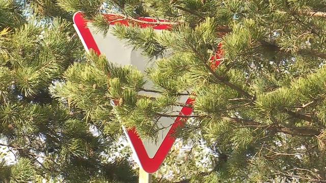 Автоликбез - Знак на Маяковского смотреть онлайн