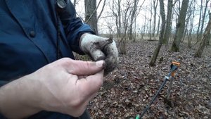 Я ВЫРВАЛ ЕГО из ДРЕВНЕГО ДУБА!!! ПОИСК ЗЛАТА СЕРЕБРА!