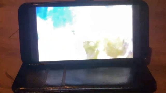 Reaction to HowtoBasic, How To Tame A Wild Animal!