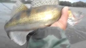 Поймал-отпусти