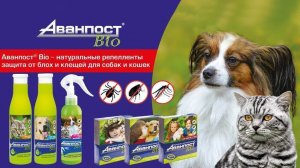 Аванпост® Вio - натуральные средства защиты от блох и клещей для собак и кошек