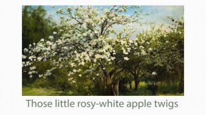 A little white apple-tree twig