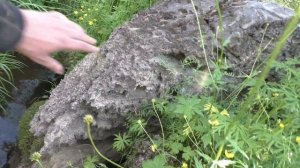 71 Серия Поймал 5 Рыб Хариус, Челюсть Бобра, Удочка Поплавок Тайга, Камни Тунгусский Метеорит