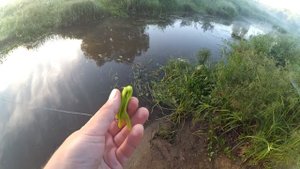 Прохладное утро на МИКРО-РЕЧКЕ - ловля щуки на НЕОГРУЗКУ!