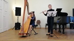 С  Канга Бегущая вода ансамбль арфа с флейтой
