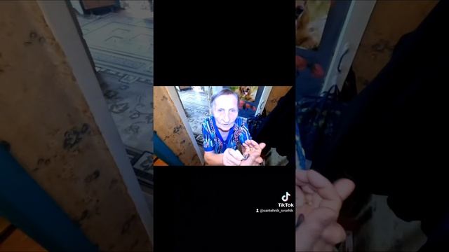 Помощь пенсионерам, Помощь бабушке