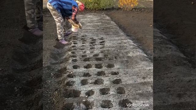 Осенние работы на даче, осень 2020, смотреть онлайн