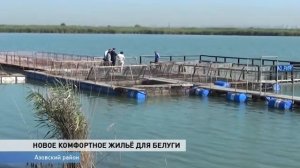 Предприятие по выращиванию белуги