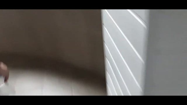 Экзотариум. смотреть онлайн