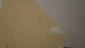 Шпатлевание стен