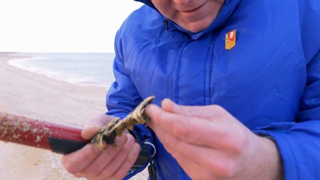 Нашел древний коготь из бронзы - Коп на пляже в Бердянске 2023 смотреть онлайн