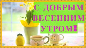 С добрым утром весенним! Весеннего настроения желаю!