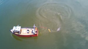 Ловля рыбы с помощью радиоуправляемого катера