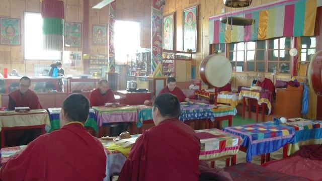 Цэдо смотреть онлайн