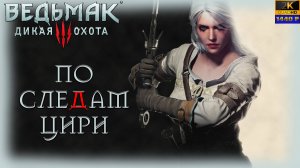 16. Ведьмак: дикая охота🐺🗡️🏰/ По следам Цири