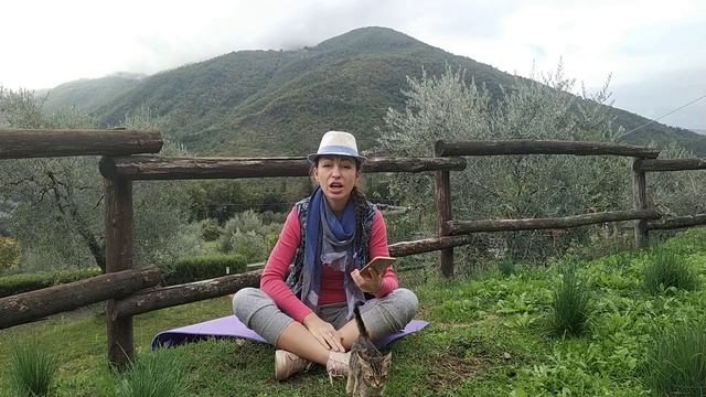 Сказка для взрослых Курочка РЯБА на новый лад
