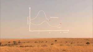 Формулы жизни - Часть 1.Уравнение, которое съел гепард. Серия 2 -Документальный фильм