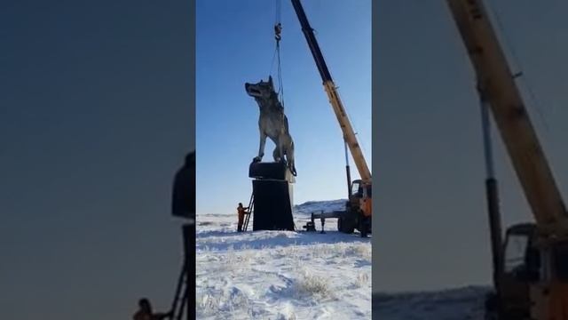 9-метровую скульптуру волка установили в Карагандинской области