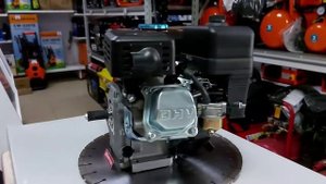 Двигатель DAMAN DM104P20 4л.с., вал 20мм