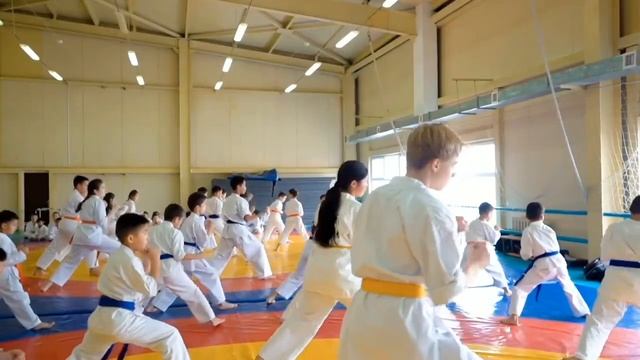 КАРАТЭ ШИНКИОКУШИНКАЙ