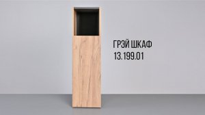 ГРЭЙ Шкаф 13.199.01.