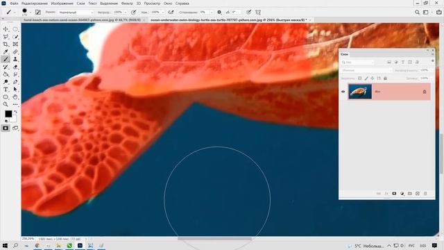 Выделяем простые и сложные объекты в Photoshop